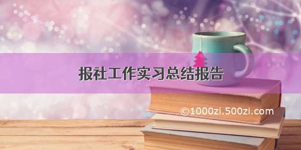 报社工作实习总结报告