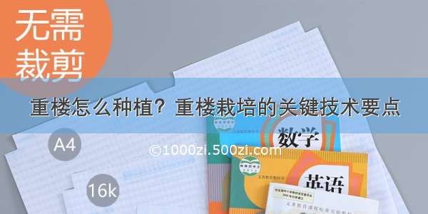 重楼怎么种植？重楼栽培的关键技术要点