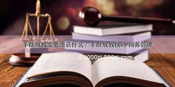 羊群放牧需要注意什么？羊群放牧技巧 饲养管理