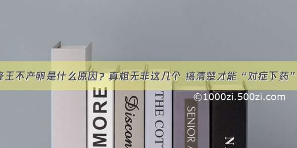 蜂王不产卵是什么原因？真相无非这几个 搞清楚才能“对症下药”！