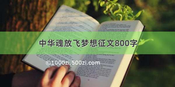 中华魂放飞梦想征文800字