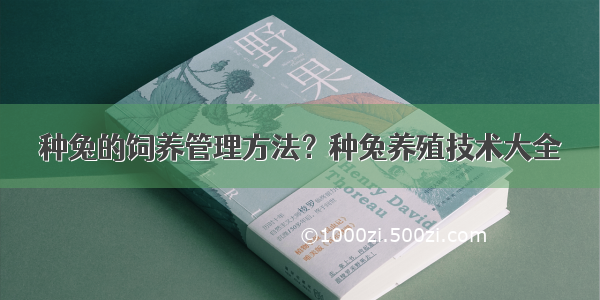 种兔的饲养管理方法？种兔养殖技术大全