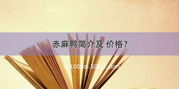 赤麻鸭简介及 价格？