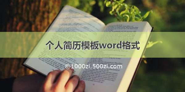 个人简历模板word格式