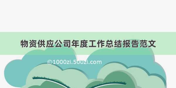 物资供应公司年度工作总结报告范文