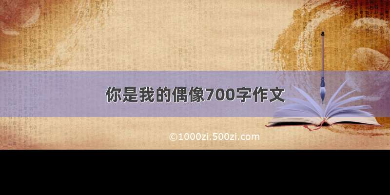 你是我的偶像700字作文