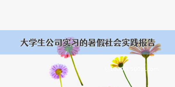 大学生公司实习的暑假社会实践报告