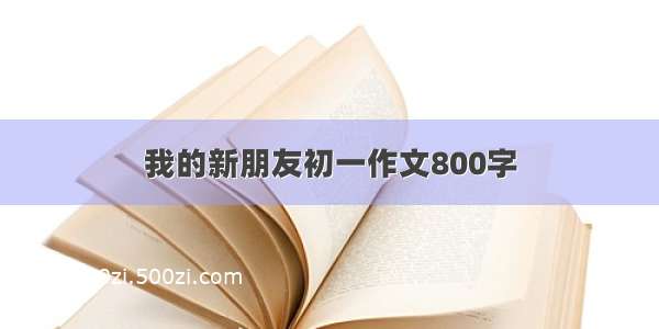 我的新朋友初一作文800字