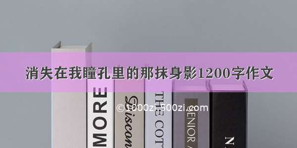 消失在我瞳孔里的那抹身影1200字作文