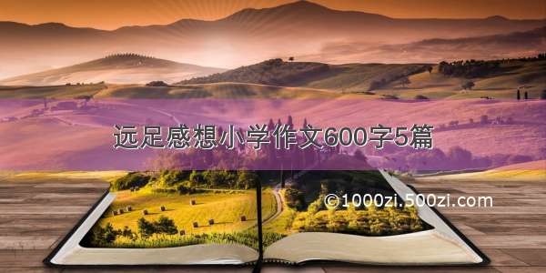 远足感想小学作文600字5篇