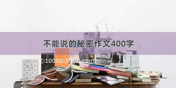 不能说的秘密作文400字