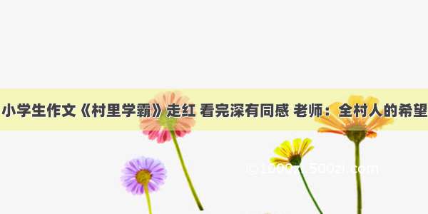 小学生作文《村里学霸》走红 看完深有同感 老师：全村人的希望