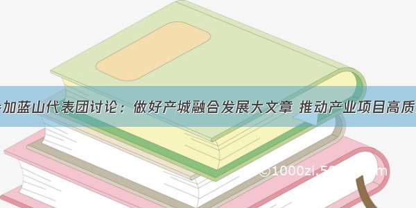 王雄参加蓝山代表团讨论：做好产城融合发展大文章 推动产业项目高质量发展