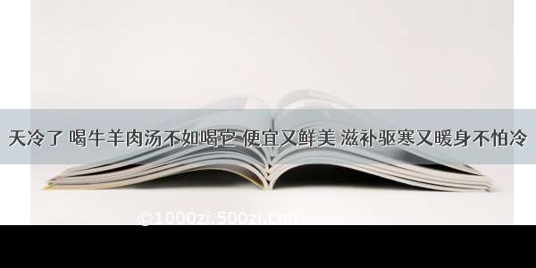 天冷了 喝牛羊肉汤不如喝它 便宜又鲜美 滋补驱寒又暖身不怕冷