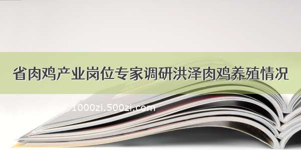 省肉鸡产业岗位专家调研洪泽肉鸡养殖情况