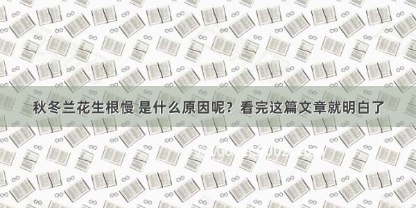 秋冬兰花生根慢 是什么原因呢？看完这篇文章就明白了