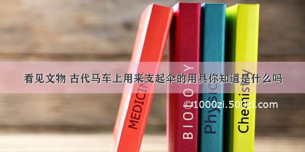 看见文物 古代马车上用来支起伞的用具你知道是什么吗