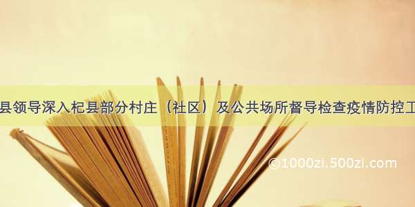 杞县领导深入杞县部分村庄（社区）及公共场所督导检查疫情防控工作