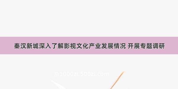 秦汉新城深入了解影视文化产业发展情况 开展专题调研