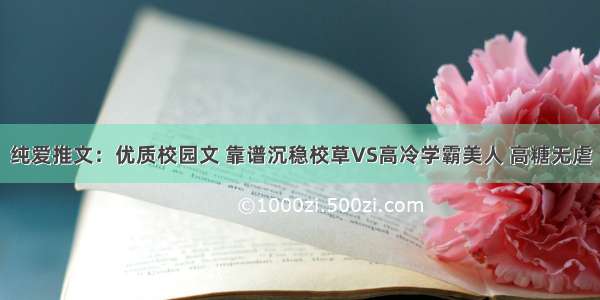 纯爱推文：优质校园文 靠谱沉稳校草VS高冷学霸美人 高糖无虐