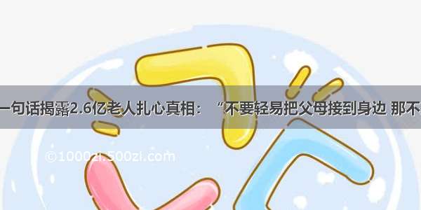 撒贝宁一句话揭露2.6亿老人扎心真相：“不要轻易把父母接到身边 那不是孝顺”