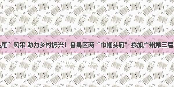 展“巾帼头雁”风采 助力乡村振兴！番禺区两“巾帼头雁”参加广州第三届电商节直播