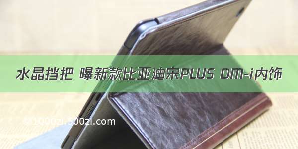 水晶挡把 曝新款比亚迪宋PLUS DM-i内饰