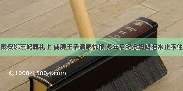 戴安娜王妃葬礼上 威廉王子满眼仇恨 多年后纪念妈妈泪水止不住