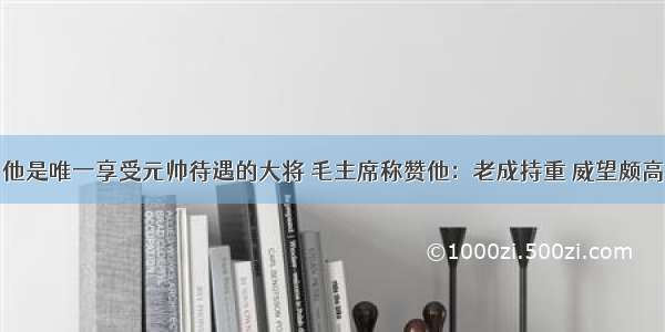 他是唯一享受元帅待遇的大将 毛主席称赞他：老成持重 威望颇高