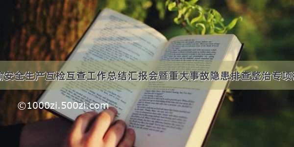 全省交通运输安全生产互检互查工作总结汇报会暨重大事故隐患排查整治专项行动动员部署