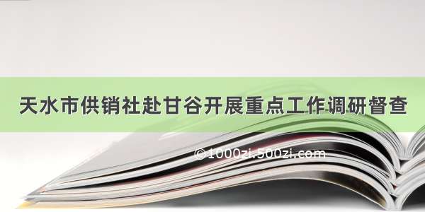 天水市供销社赴甘谷开展重点工作调研督查