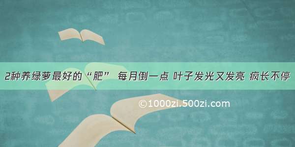 2种养绿萝最好的“肥” 每月倒一点 叶子发光又发亮 疯长不停