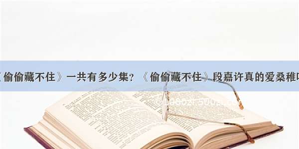 《偷偷藏不住》一共有多少集？《偷偷藏不住》段嘉许真的爱桑稚吗？