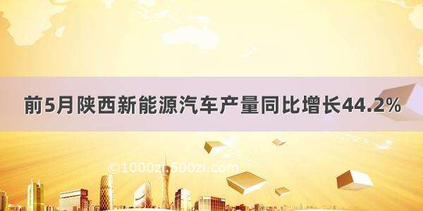 前5月陕西新能源汽车产量同比增长44.2%