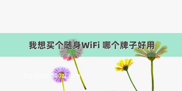 我想买个随身WiFi 哪个牌子好用