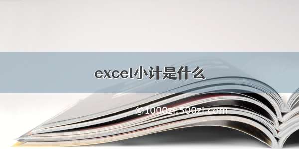 excel小计是什么