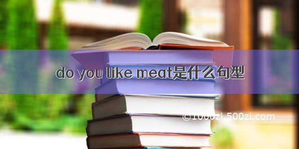 do you like meat是什么句型