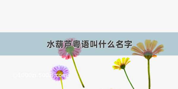 水葫芦粤语叫什么名字