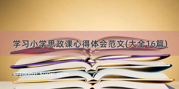 学习小学思政课心得体会范文(大全16篇)