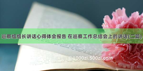 巡察组组长讲话心得体会报告 在巡察工作总结会上的讲话(二篇)