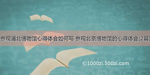 参观浦北博物馆心得体会如何写 参观北京博物馆的心得体会(2篇)