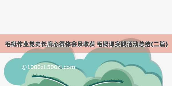 毛概作业党史长廊心得体会及收获 毛概课实践活动总结(二篇)