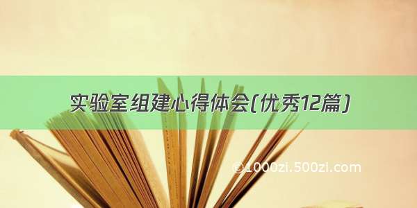 实验室组建心得体会(优秀12篇)