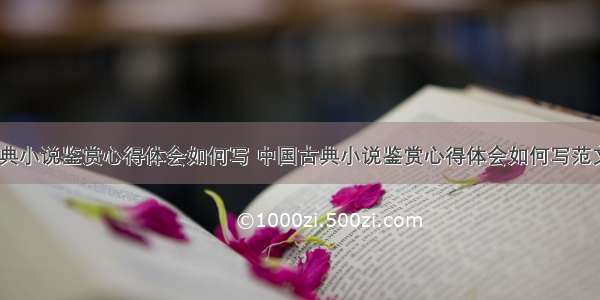 中国古典小说鉴赏心得体会如何写 中国古典小说鉴赏心得体会如何写范文(九篇)