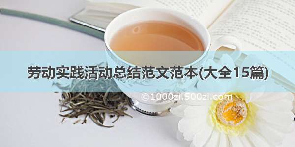 劳动实践活动总结范文范本(大全15篇)