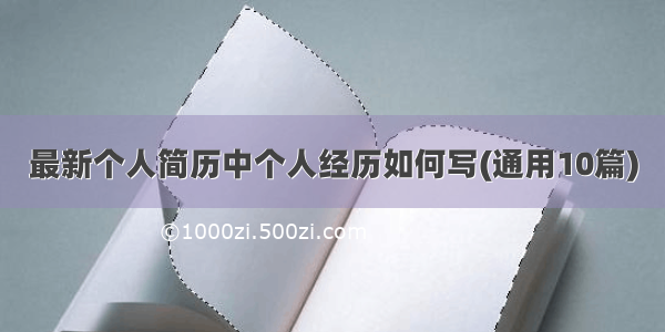 最新个人简历中个人经历如何写(通用10篇)