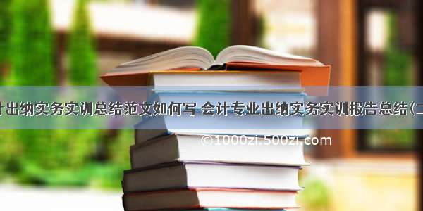 会计出纳实务实训总结范文如何写 会计专业出纳实务实训报告总结(二篇)