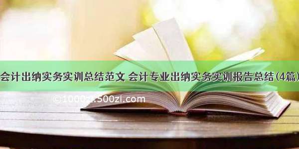 会计出纳实务实训总结范文 会计专业出纳实务实训报告总结(4篇)