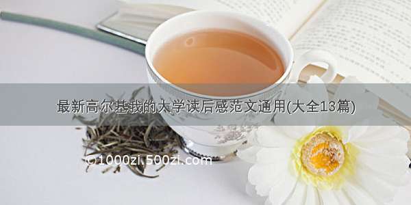 最新高尔基我的大学读后感范文通用(大全13篇)