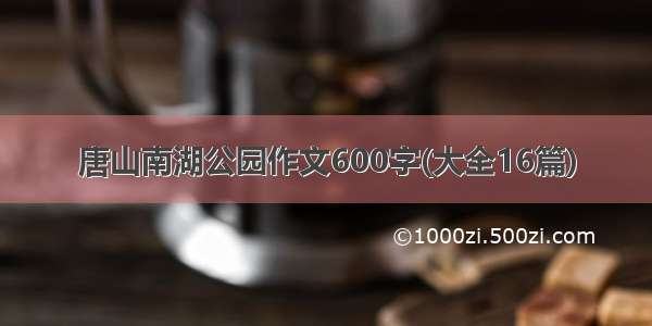 唐山南湖公园作文600字(大全16篇)